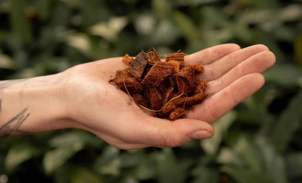 Start 12 Coconut_husk_chips kaufen
