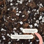 Prämium-Aroid-Erde _ Monstera-Erde-Mischung – Sybotanica kaufen