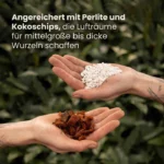aroid mit mit perlit kokoschips online kaufen