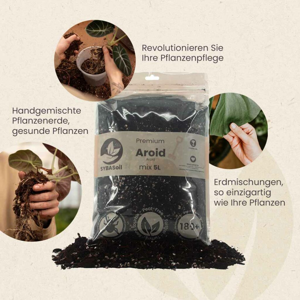 Start 7 handgemischte pflanzenerde erdmischung monstera