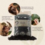 handgemischte pflanzenerde erdmischung monstera