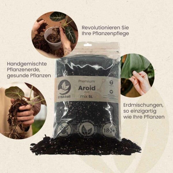 handgemischte pflanzenerde erdmischung monstera