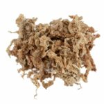 Sphagnum Moos 300 Gramm aus Chile